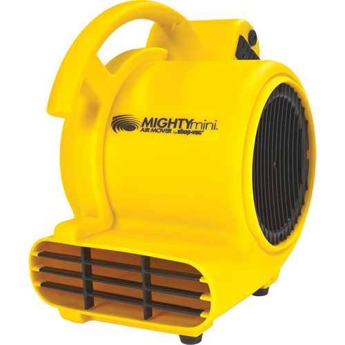 Air Circulators & Floor Dryers