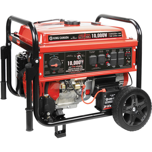 Multi-Fuel Generator
