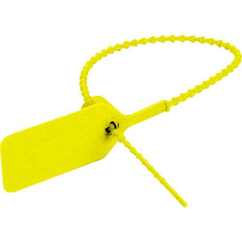 Security Seal